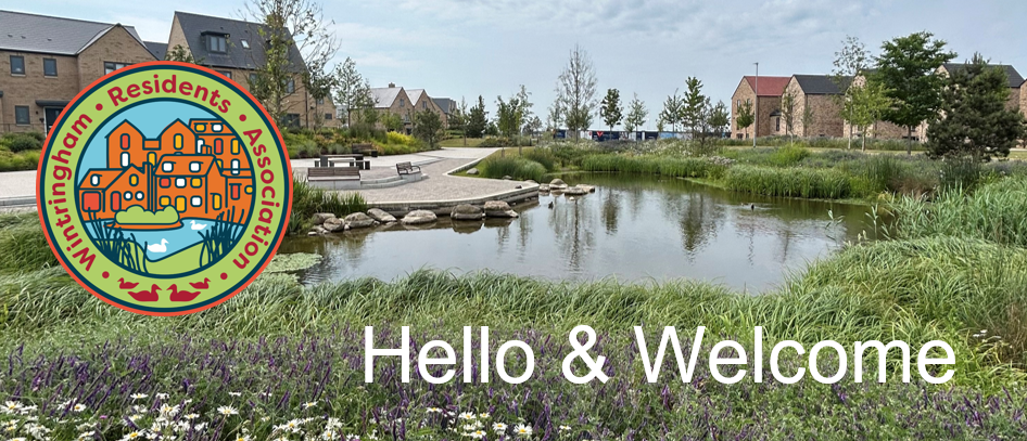 hello & welcome