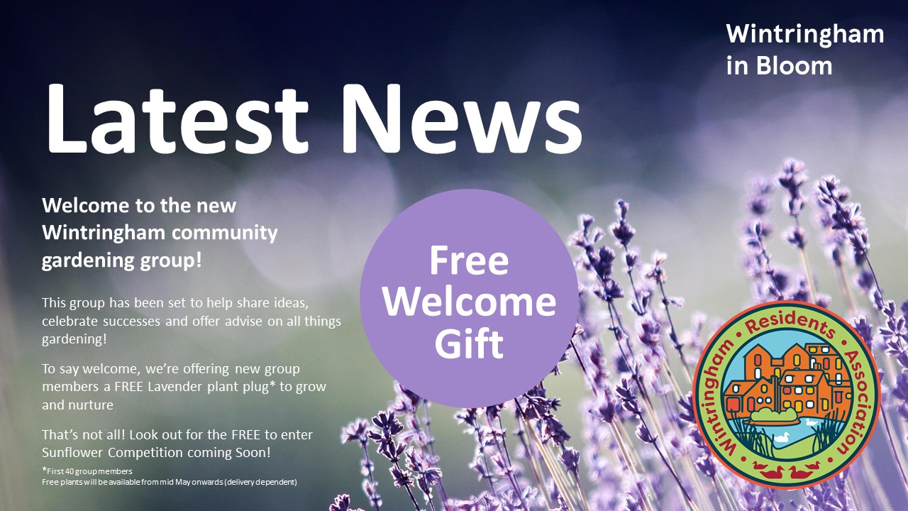 WIB web art