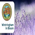 Wintringham In Bloom